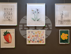 Варна - изложба „Багрите на Родопа планина“