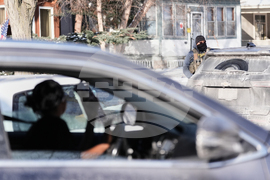 Immigration Enforcement Minnesota