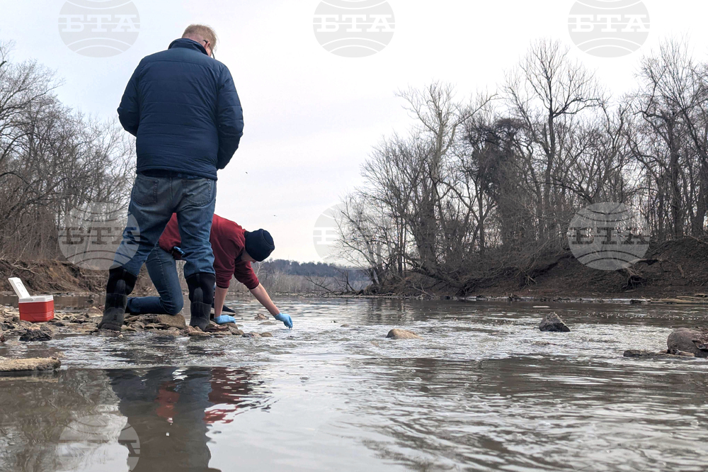 Potomac River Sewage