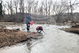 Potomac River Sewage
