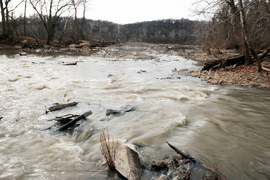 Potomac River Sewage
