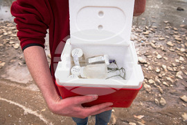 Potomac River Sewage