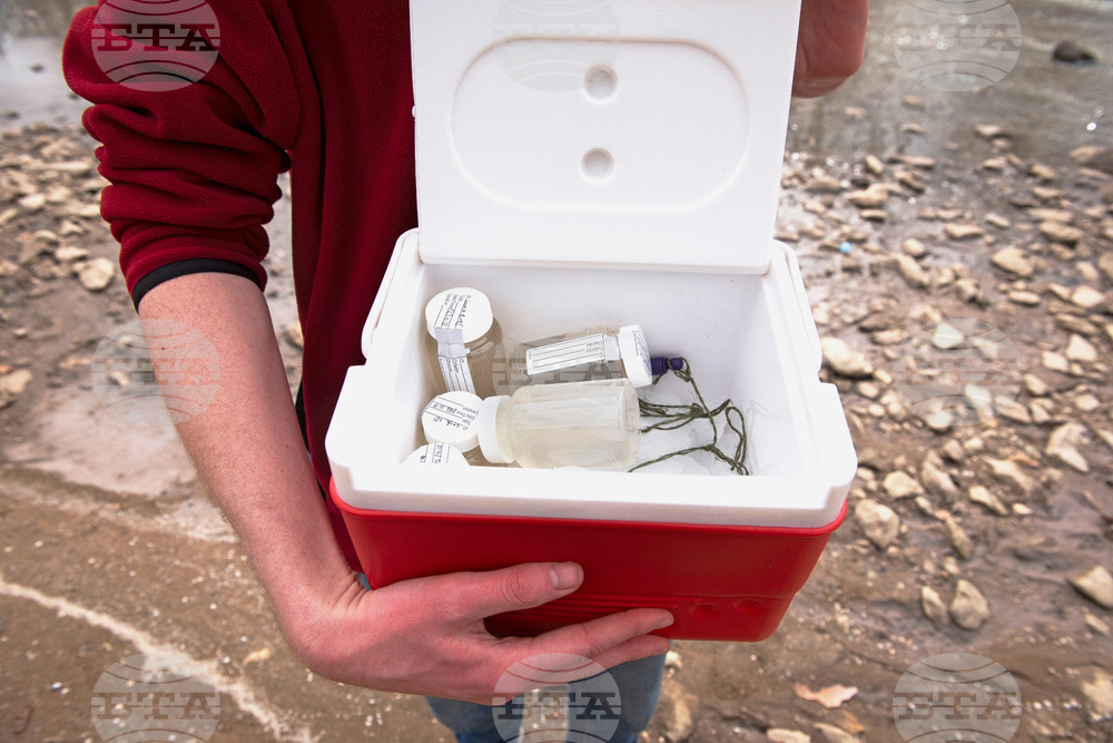 Potomac River Sewage