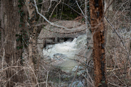 Potomac River Sewage