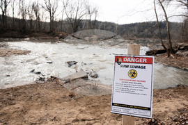 Potomac River Sewage