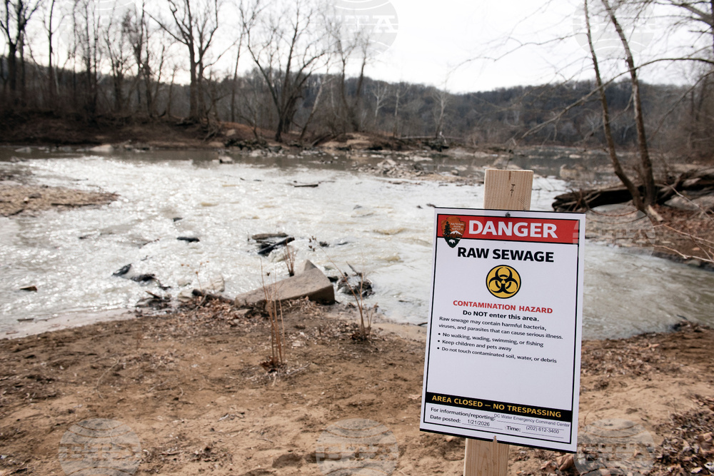 Potomac River Sewage