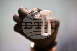 Little Fire Ant Invasion