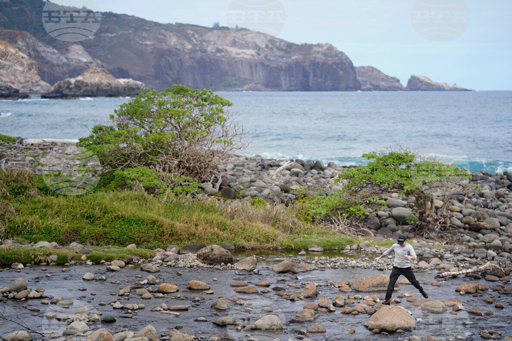 Little Fire Ant Invasion