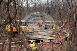 Potomac River Sewage