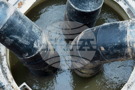 Potomac River Sewage