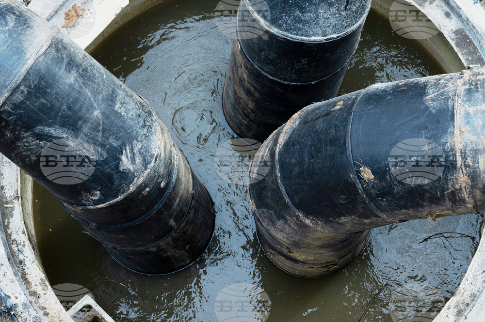 Potomac River Sewage