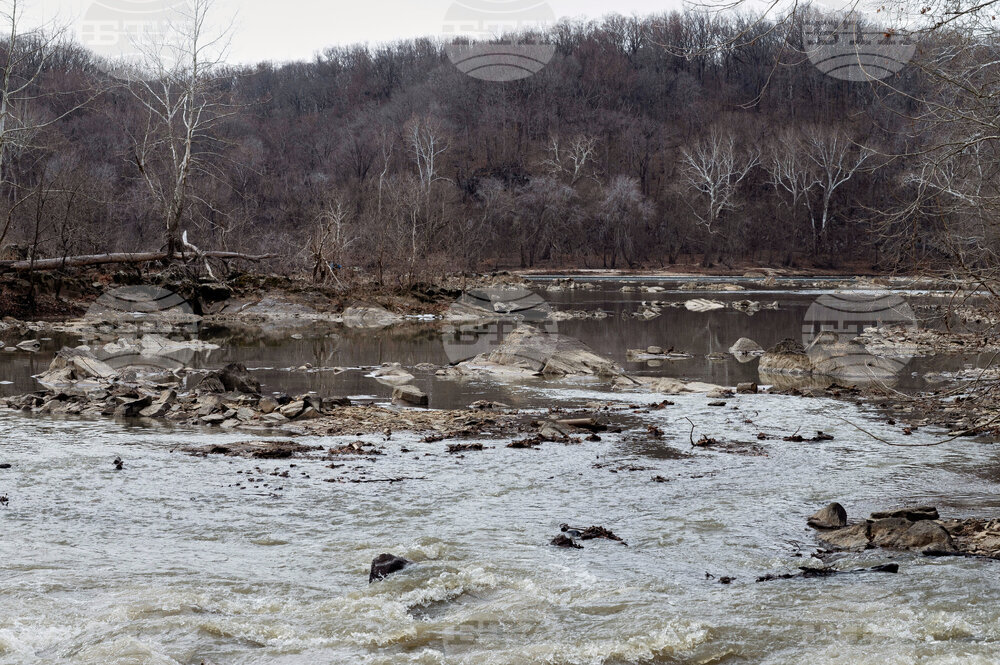 Potomac River Sewage