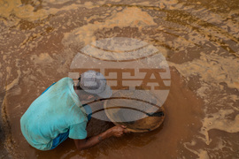 Venezuela Gold Mining