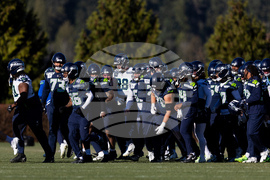 Seahawks Football