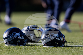 Seahawks Football