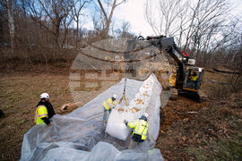Potomac River Sewage