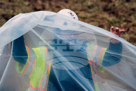 Potomac River Sewage