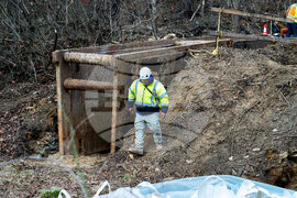 Potomac River Sewage