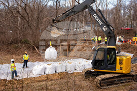 Potomac River Sewage