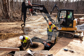 Potomac River Sewage