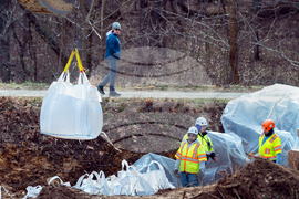 Potomac River Sewage