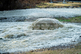 Potomac River Sewage