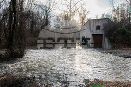 Potomac River Sewage
