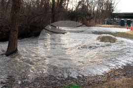 Potomac River Sewage