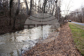 Potomac River Sewage