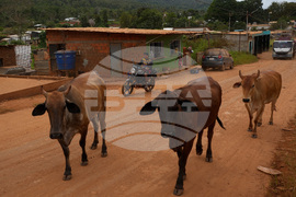 Venezuela Gold Mining