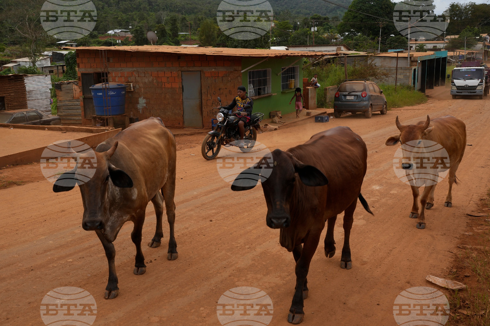 Venezuela Gold Mining