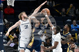 Pelicans Grizzlies Basketball