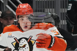Ducks Kraken Hockey