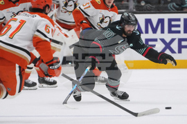 Ducks Kraken Hockey