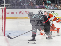Ducks Kraken Hockey