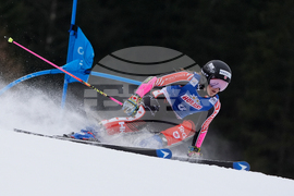 Czech Republic World Cup Alpine Skiing