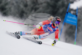 Czech Republic World Cup Alpine Skiing
