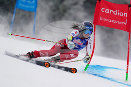 Czech Republic World Cup Alpine Skiing