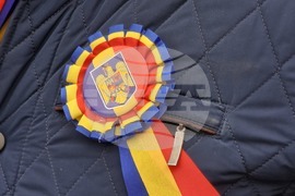 Румъния - Калин Джорджеску - поддръжници