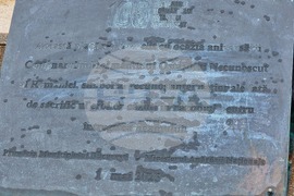 Румъния - Калин Джорджеску - поддръжници