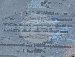 Румъния - Калин Джорджеску - поддръжници