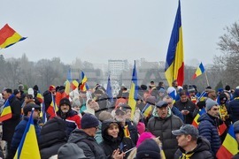 Румъния - Калин Джорджеску - поддръжници