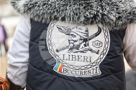 Румъния - Калин Джорджеску - поддръжници