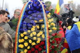 Румъния - Калин Джорджеску - поддръжници