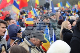 Румъния - Калин Джорджеску - поддръжници