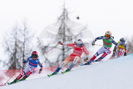 Switzerland Ski Cross