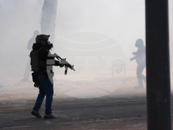 Immigration Enforcement Minnesota