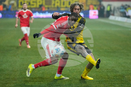 Germany Bundesliga Soccer