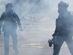 Immigration Enforcement Minnesota