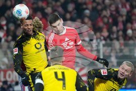 Germany Bundesliga Soccer